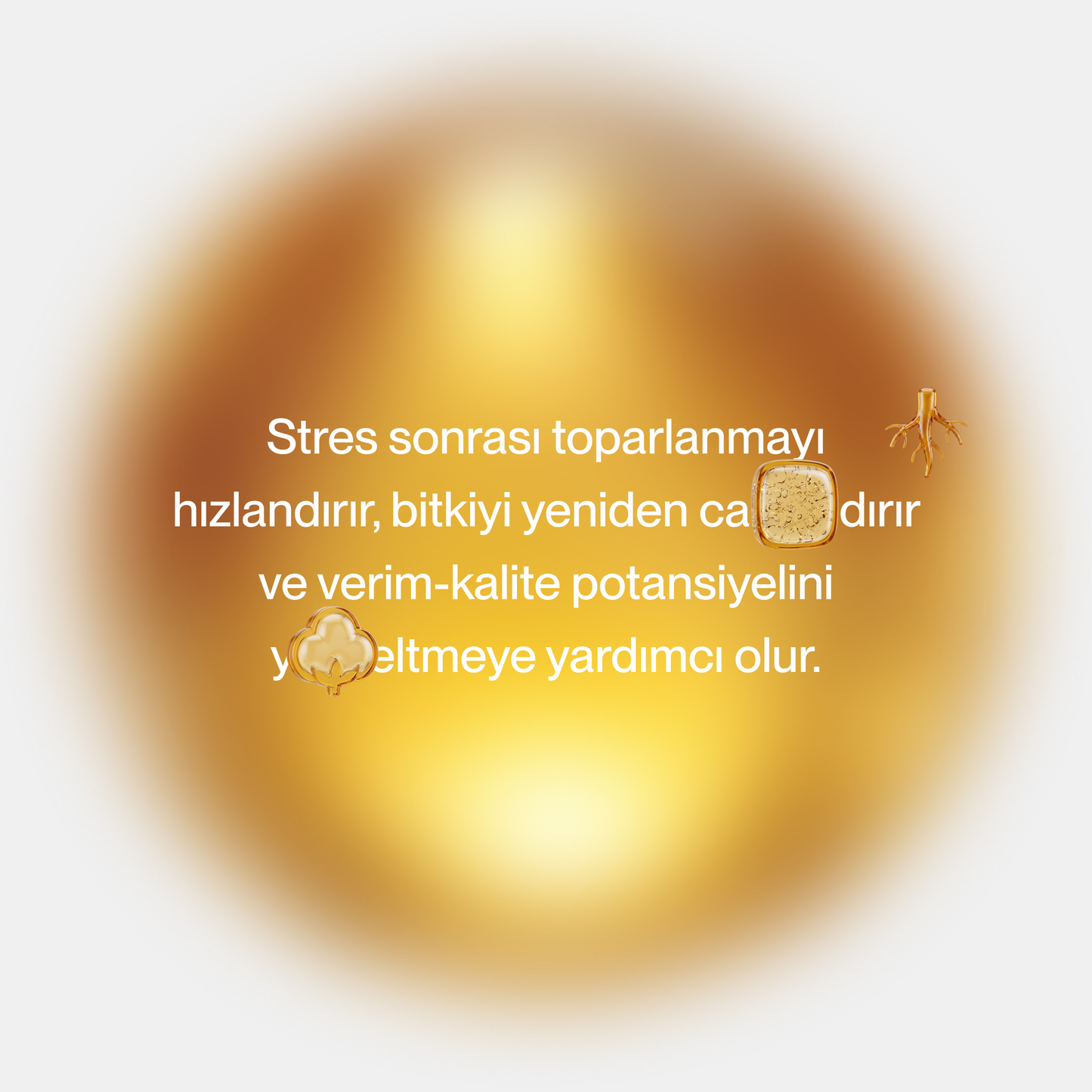 Alvion