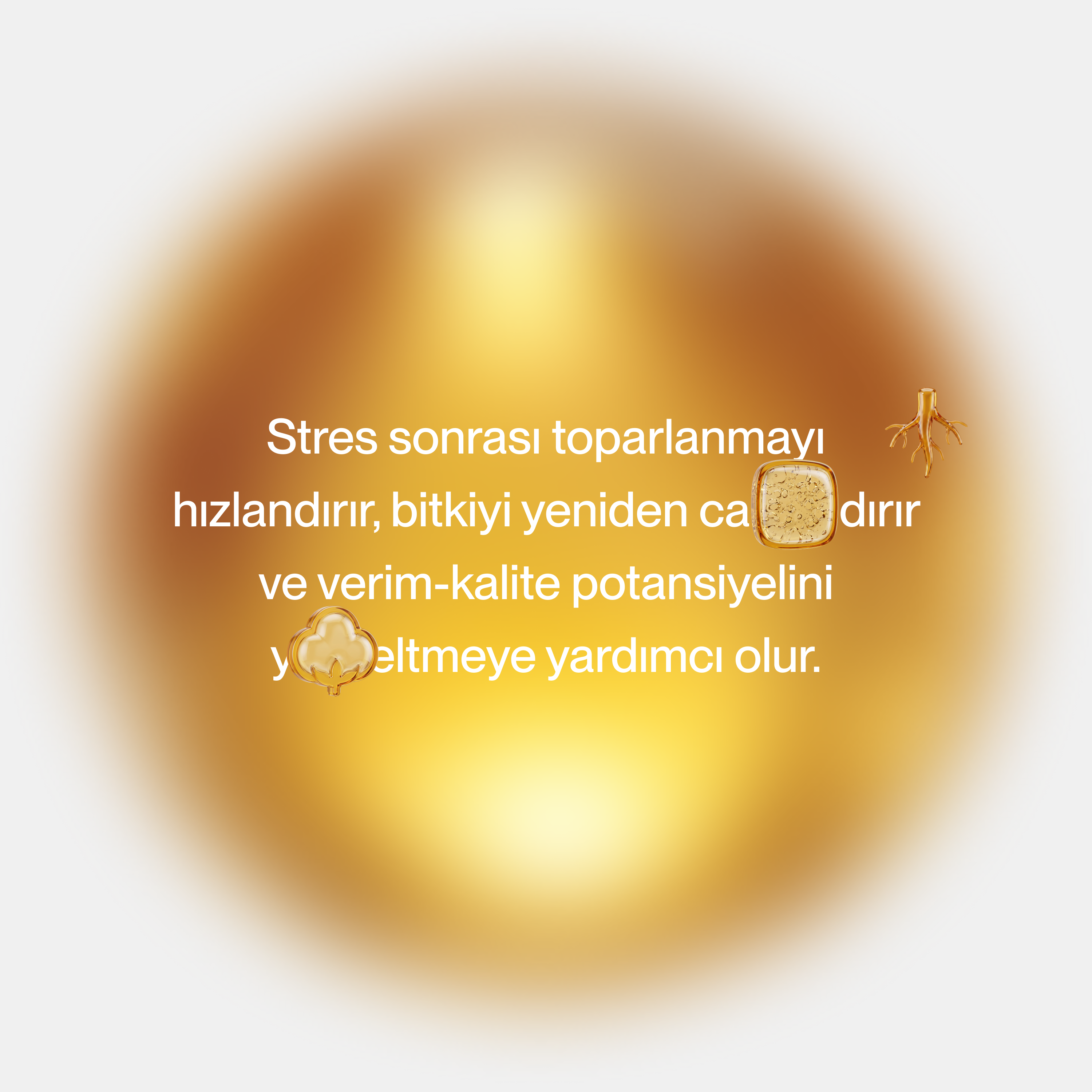 Alvion