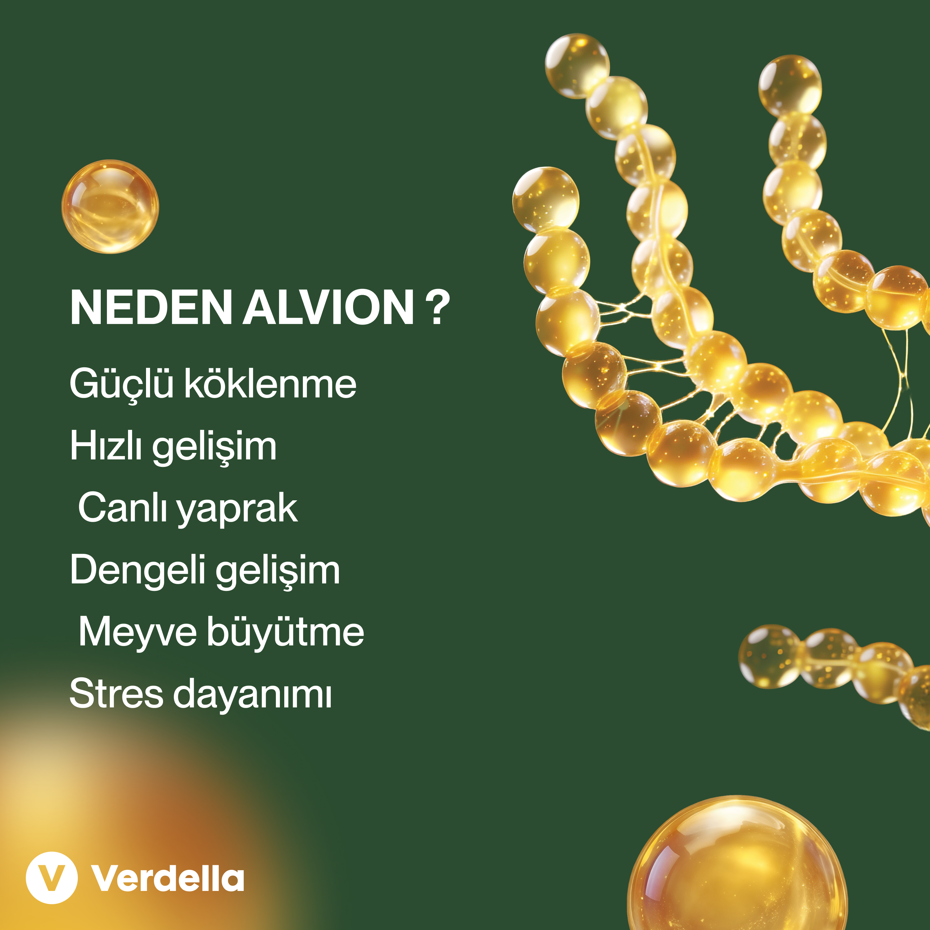 Alvion