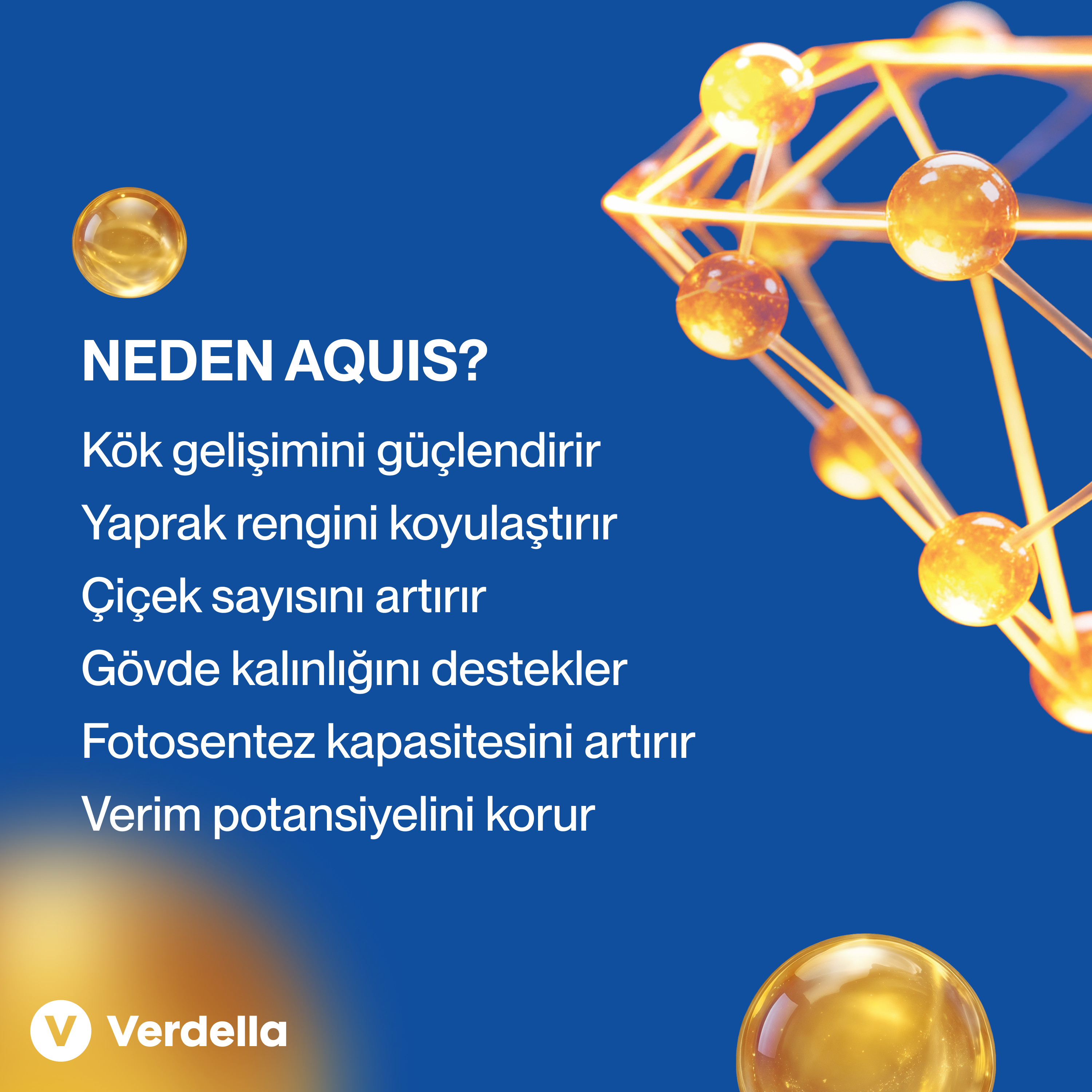 Aquis