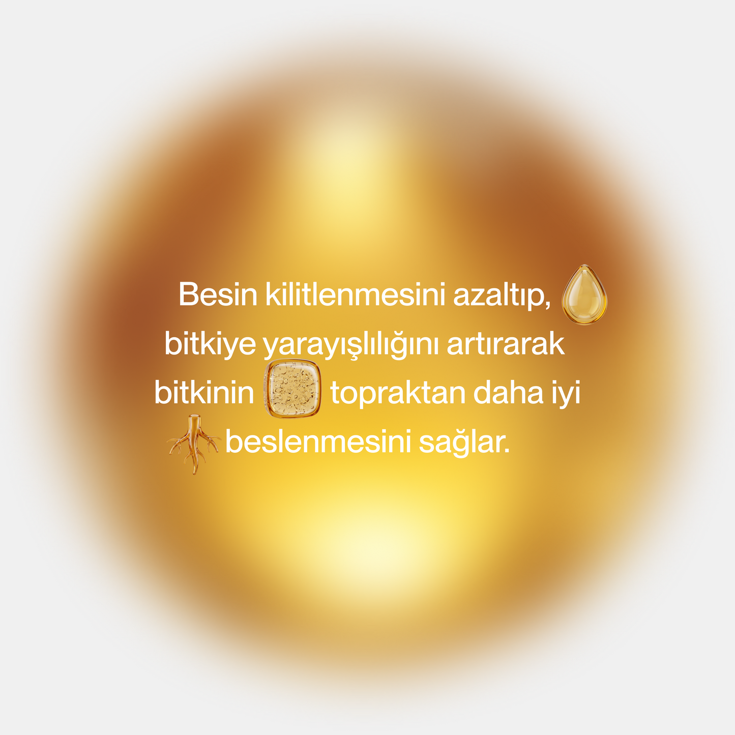 Axion