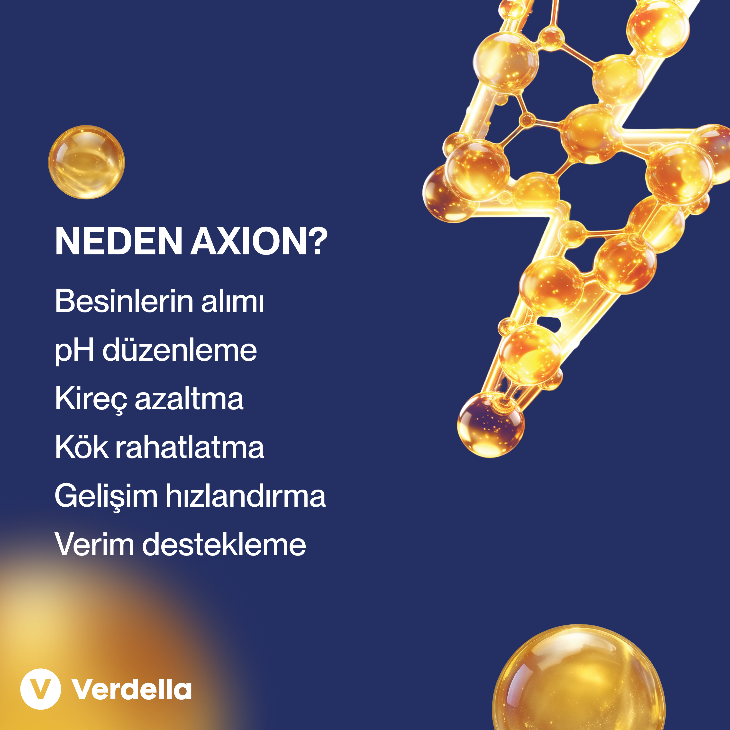Axion