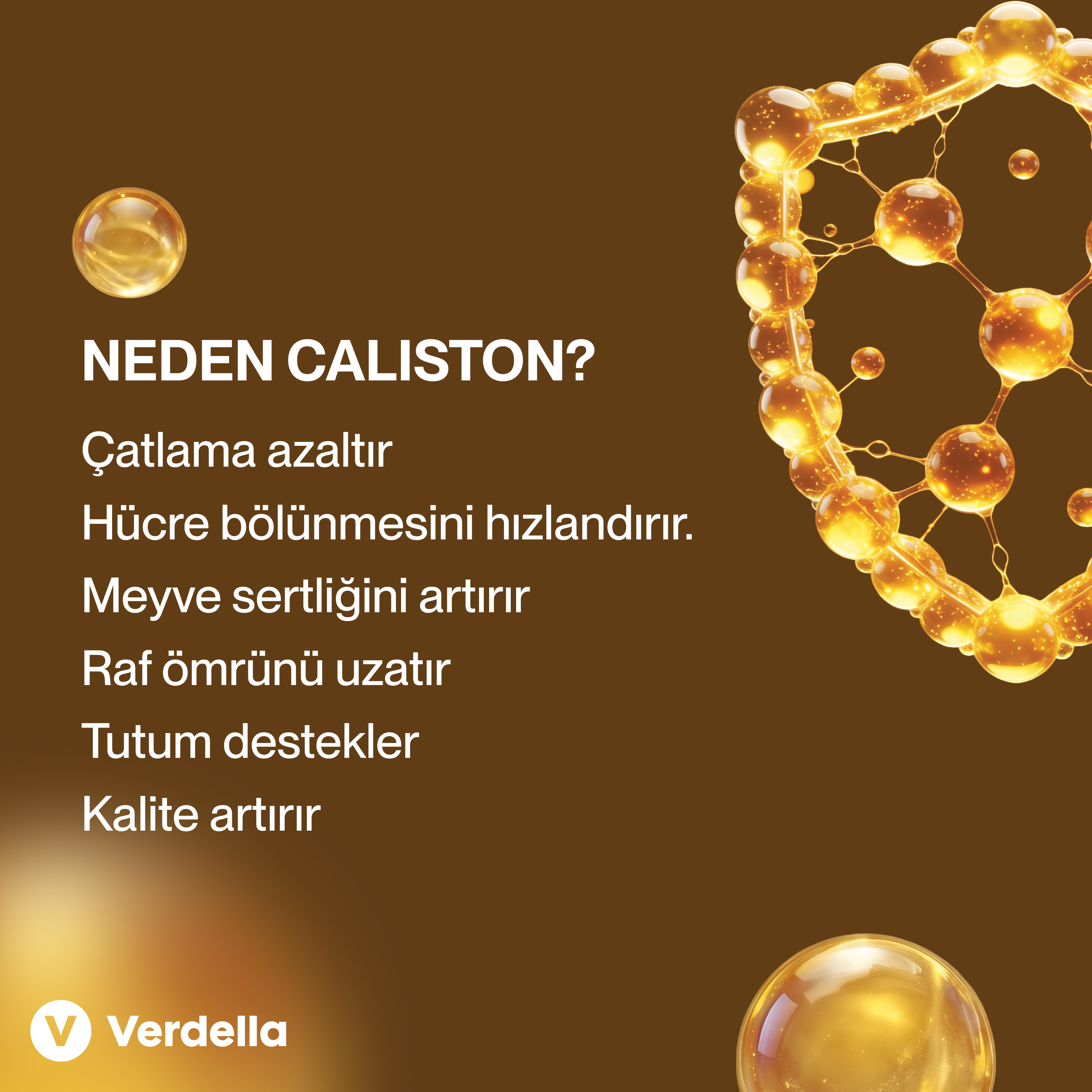 Caliston