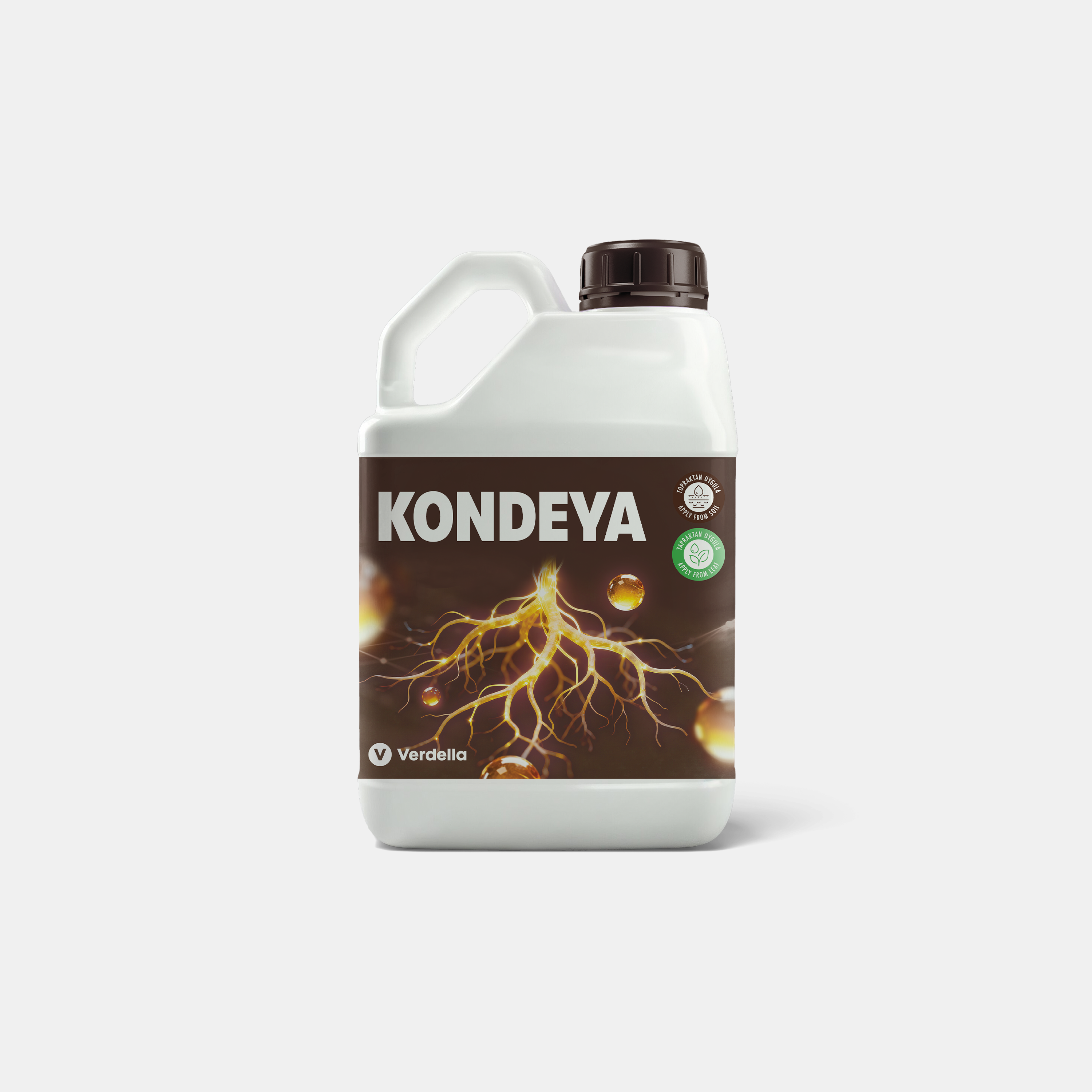Kondeya