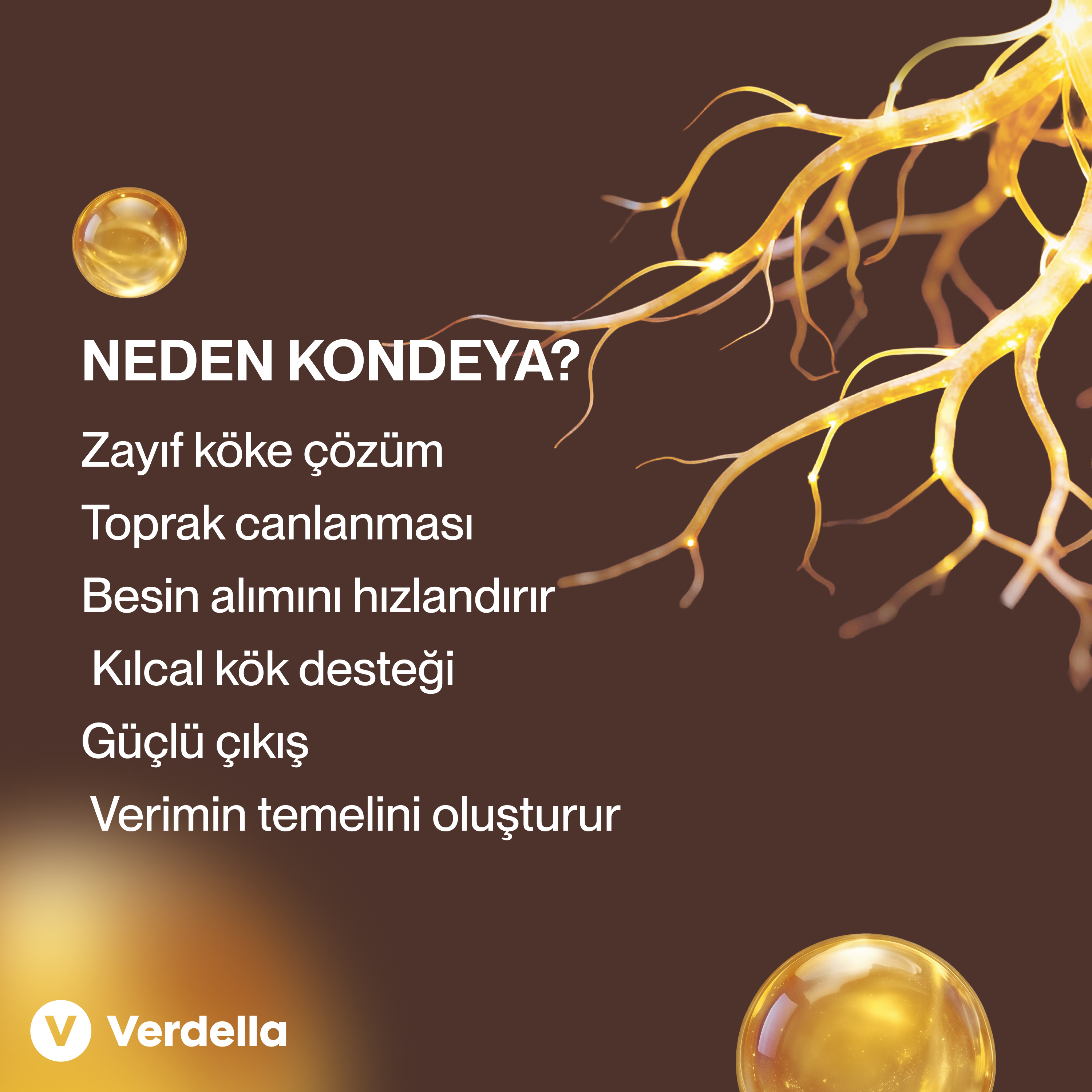 Kondeya