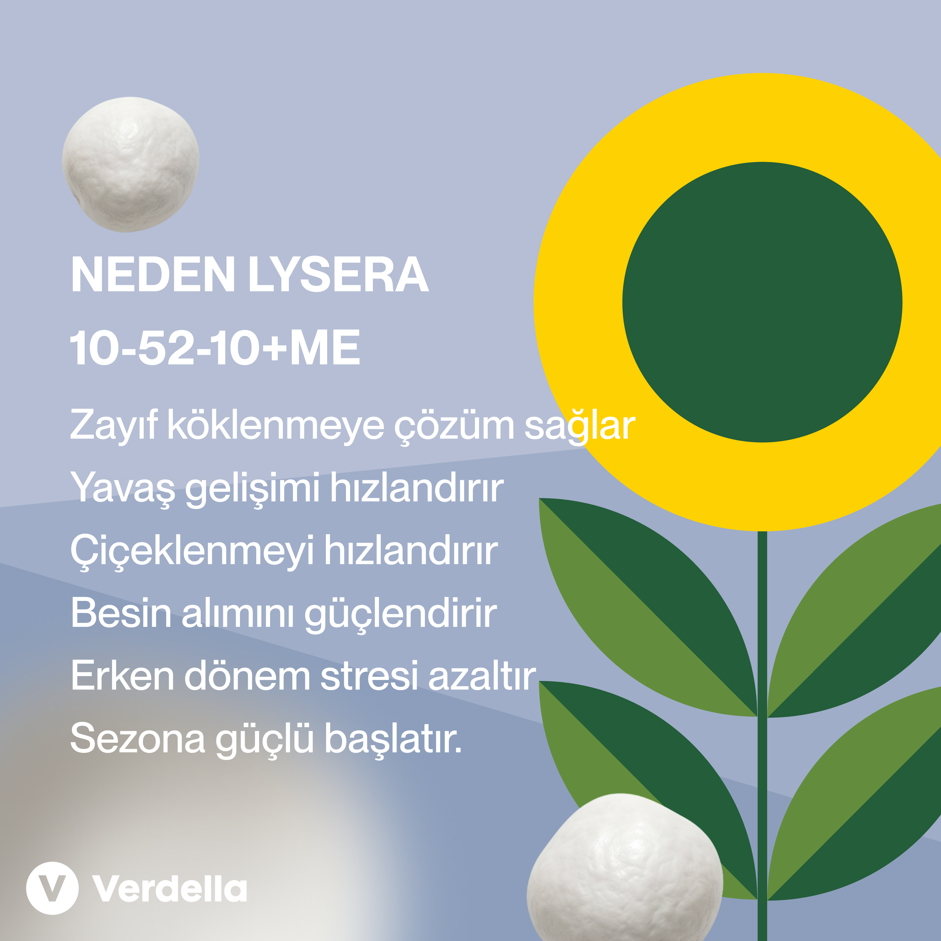 Lysera 10-52-10 20 Kg