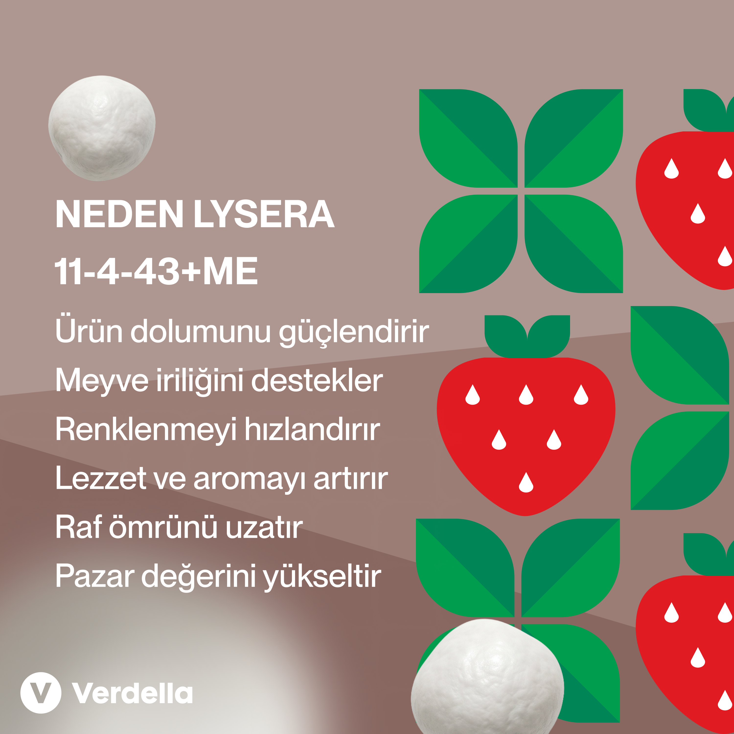Lysera 11-5-43 +Me 20 Kg
