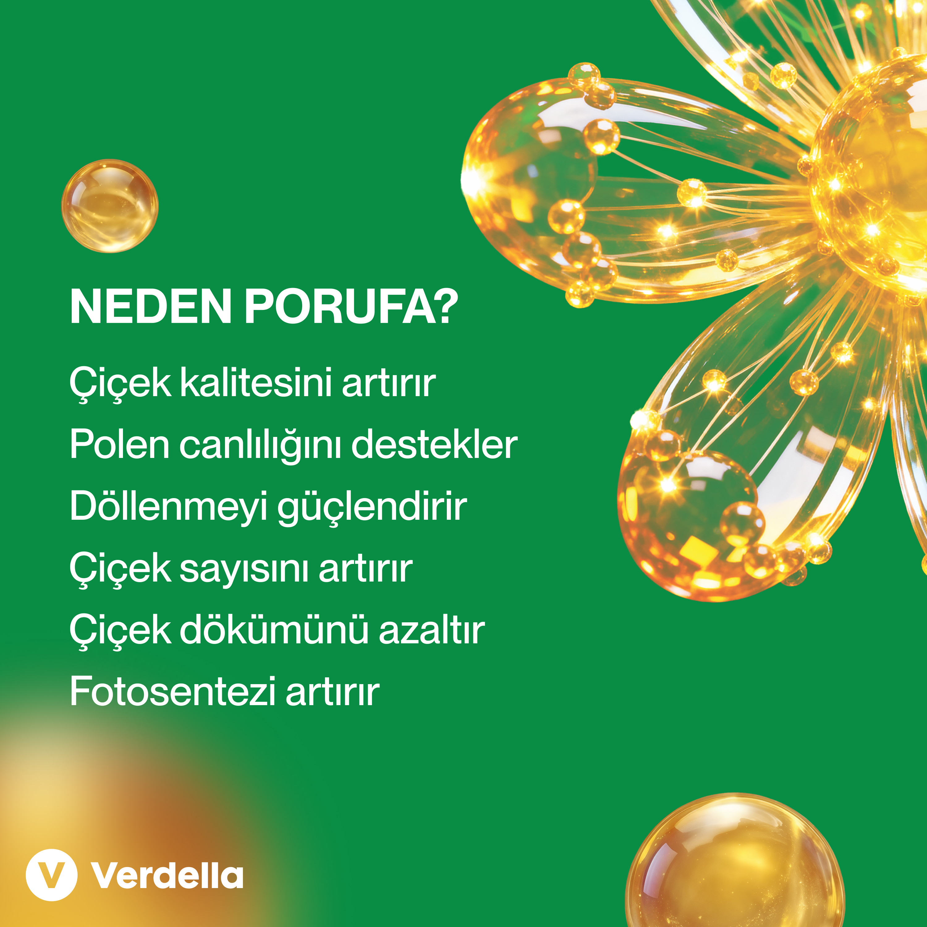 Porufa