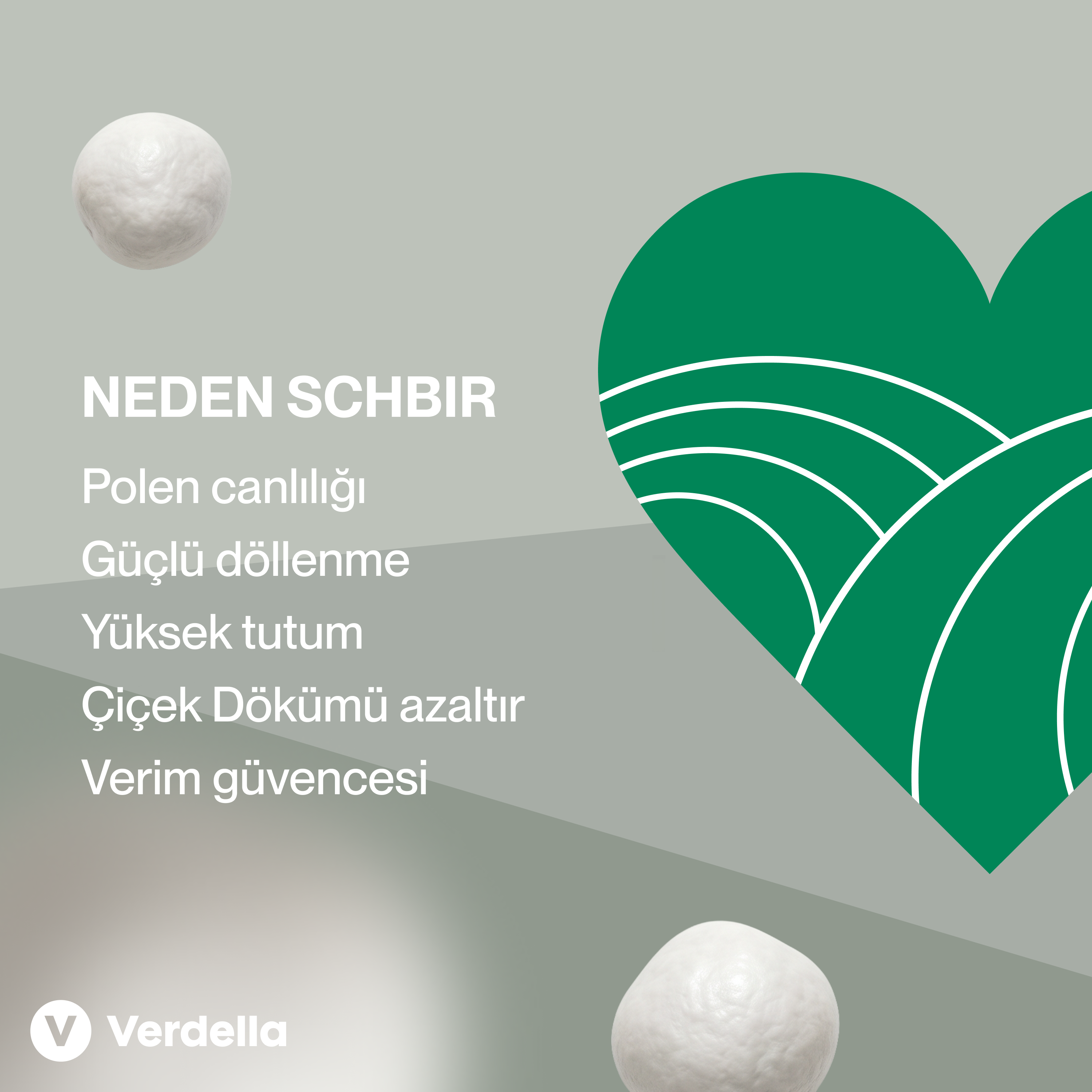 Schbir