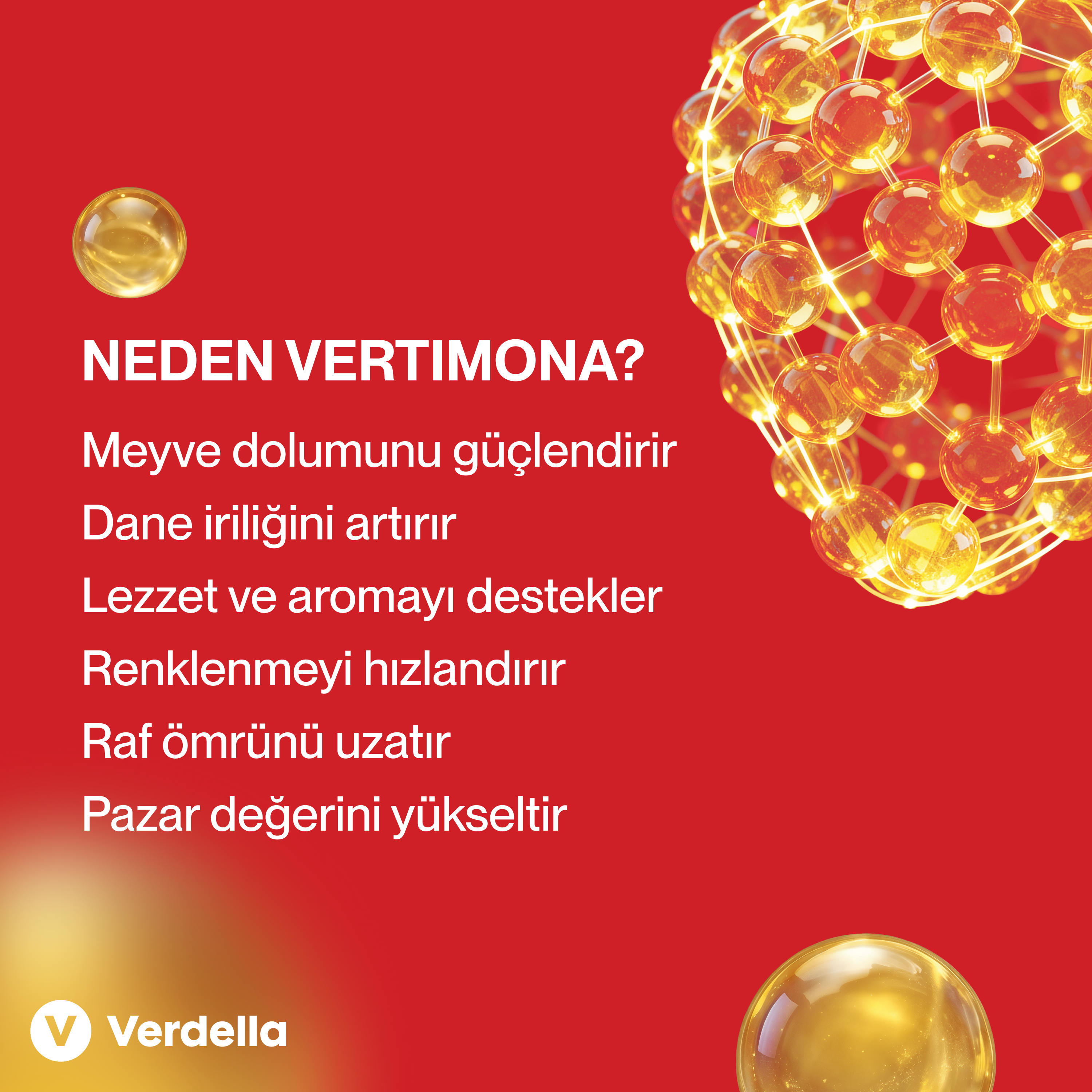 Vertimona